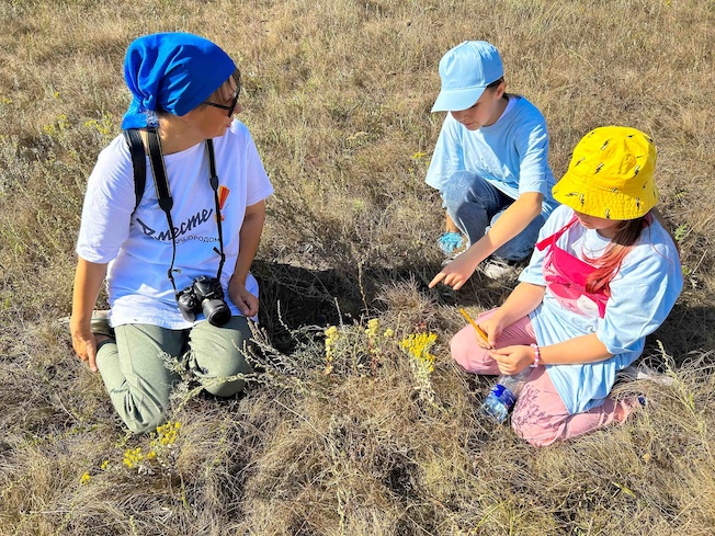 Усыновить природы островок